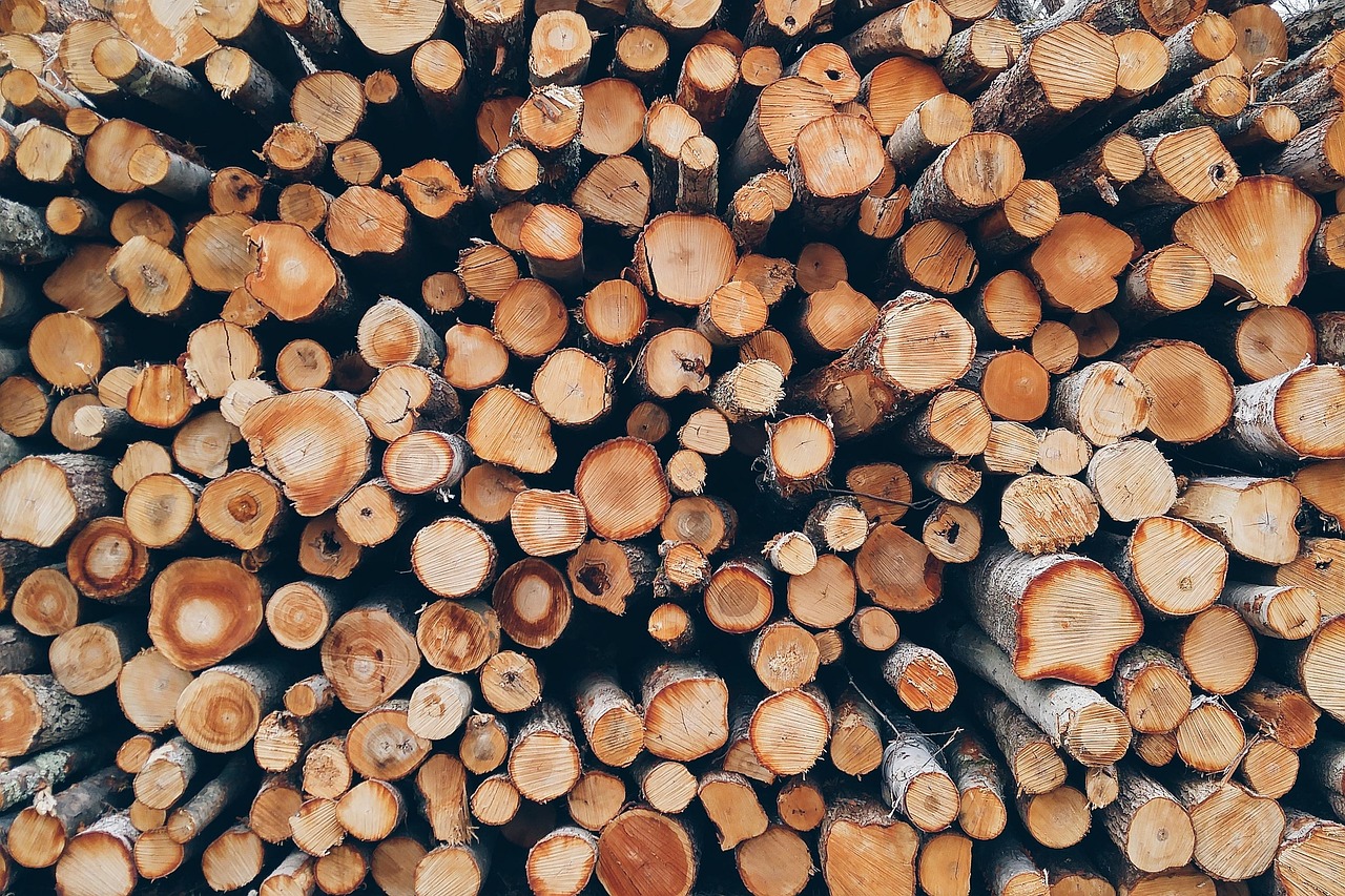 pexels wood 1868104 1280